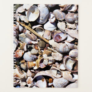 Coquillages Lg Planner