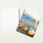 Coquillages marins et étoiles de mer sur la plage