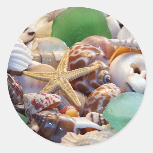 Coquillages Starfish & Beach Stickers Verre (Devant)