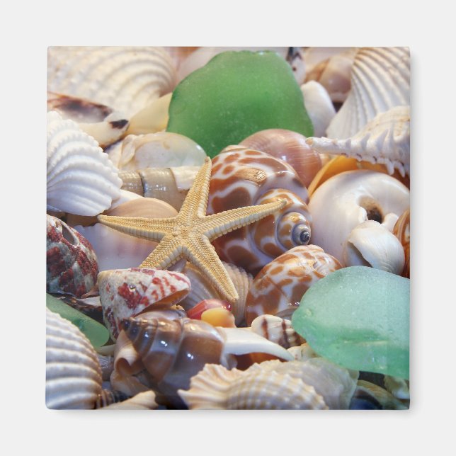 Coquillages Starfish & Beach Verre Magnet (Devant)