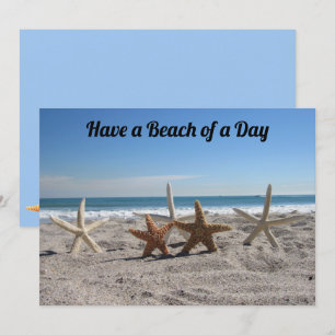 Coquillages sur la plage - Florida Life - Carte Pl