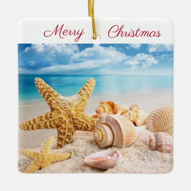Coquillages sur la plage Ornement (Devant)