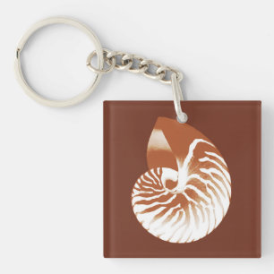 Coquille de Nautilus - cacao brun et blanc