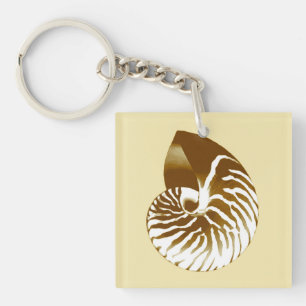 Coquille de Nautilus - marron, blanc et beige