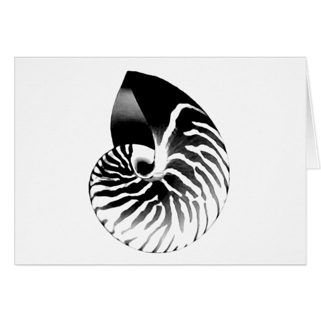 Coquille de Nautilus - noir, gris et blanc (Devant Horizontal)