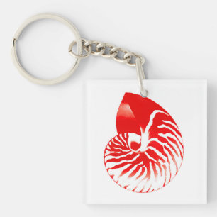 Coquille de Nautilus - rouge foncé et blanc