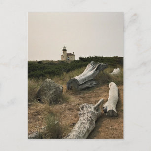 Coquille River Lighthouse, OR Postcard