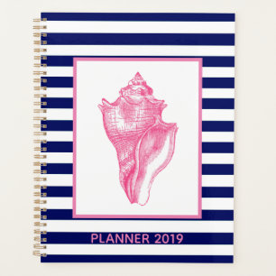 Coquille rose et bande marine