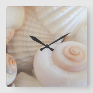 Coquilles de mer, plage d'été Horloge tropicale ex