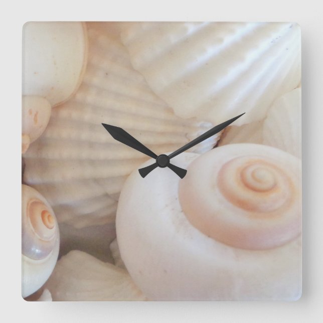 Coquilles de mer, plage d'été Horloge tropicale ex (Recto)
