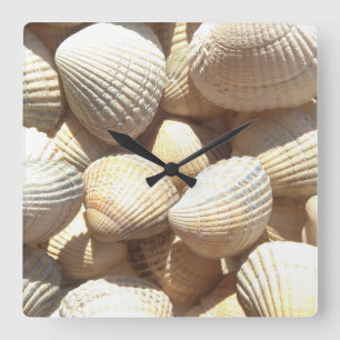 Coquilles de mer, plage d'été Horloge tropicale ex