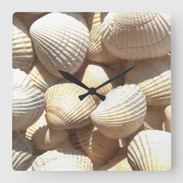 Coquilles de mer, plage d'été Horloge tropicale ex (Recto)