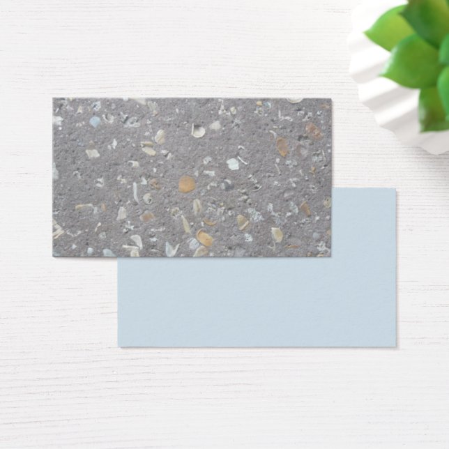 Coquilles marines en béton (Bureau)