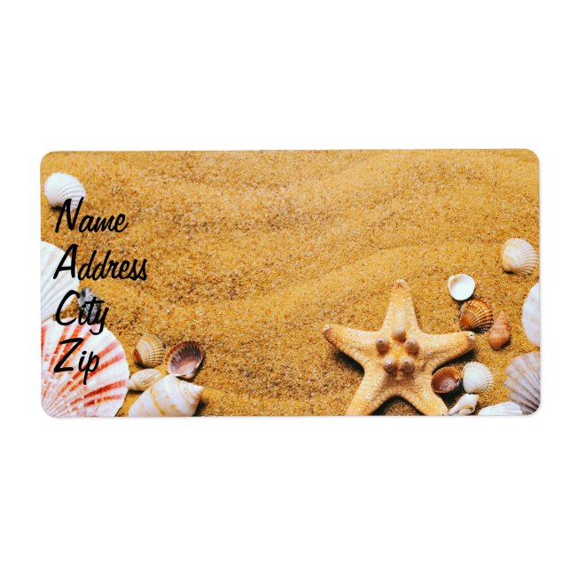 Coquilles sur la plage (Devant)