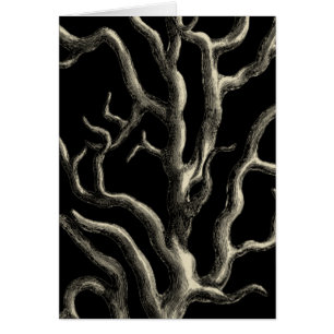 Corail noir et tan