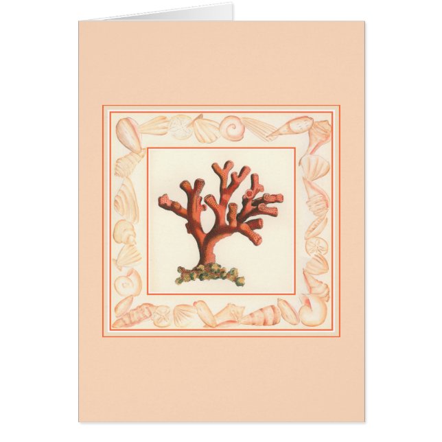 Corail rouge avec bordure conique (Devant)