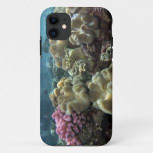 Coral, Agincourt Reef, Great Barrier Reef, iPhone 11 Case
