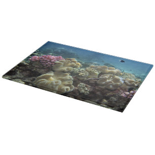 Coral, Agincourt Reef, Great Barrier Reef, Cutting Board