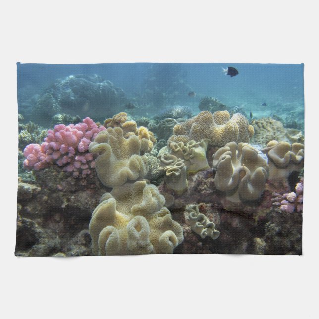 Coral, Agincourt Reef, Great Barrier Reef, Kitchen Towel (Horizontal)