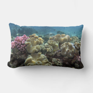 Coral, Agincourt Reef, Great Barrier Reef, Lumbar Pillow