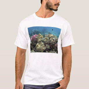 Coral, Agincourt Reef, Great Barrier Reef, T-Shirt