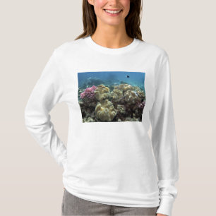 Coral, Agincourt Reef, Great Barrier Reef, T-Shirt