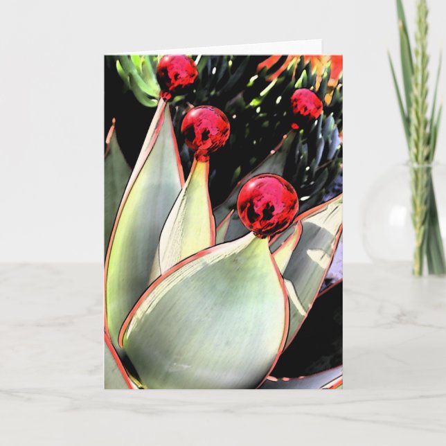 Coral aloe Christmas Holiday Card (Front)