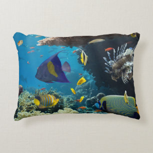 Coral and fish in the Red Sea, Egypt Decorative Pillow