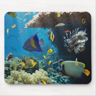 Coral and fish in the Red Sea, Egypt Mouse Pad