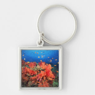 Coral and fish keychain