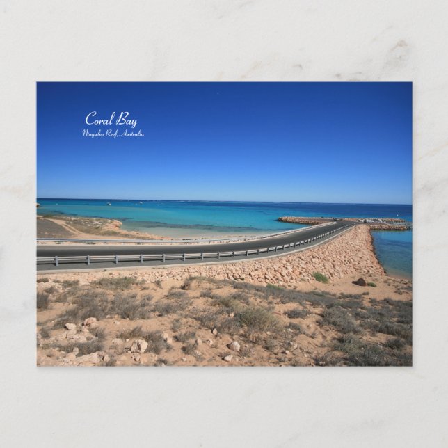 Coral Bay, récif de Ningaloo - Carte postale (Devant)
