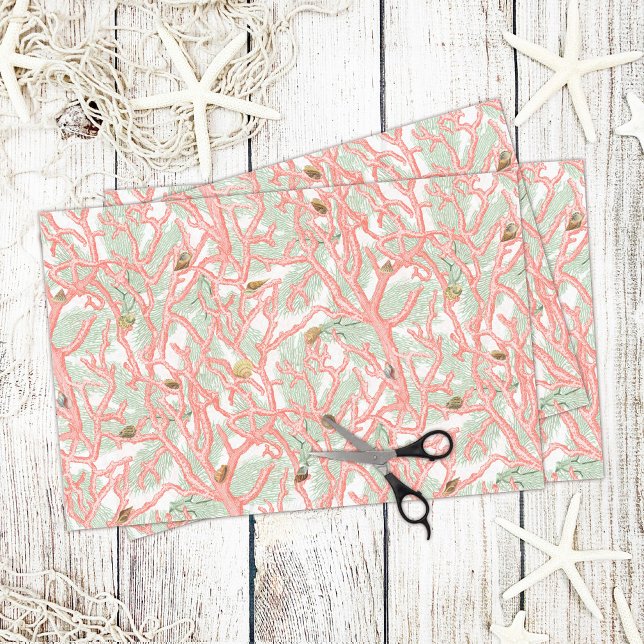 Coral Branches with Seashells Nautical Pattern Tissue Paper (Creator Uploaded)