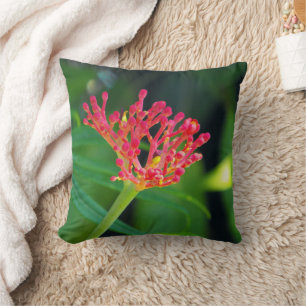 Coral Bush in bloom Throw Pillow