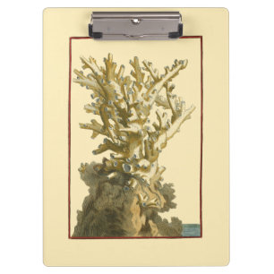 Coral by the Sea Clipboard