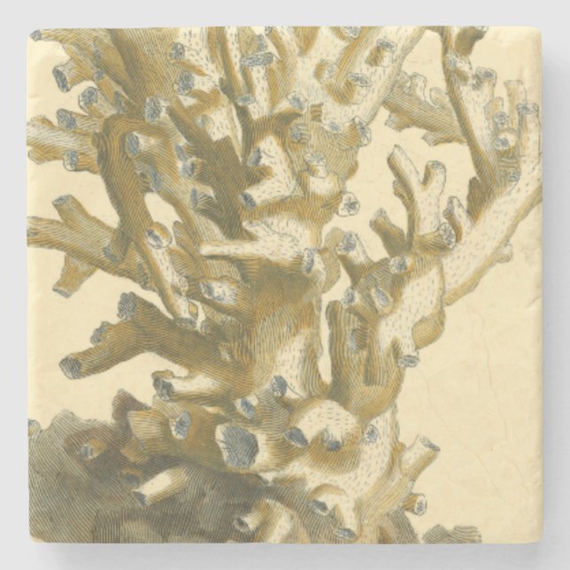 Coral by the Sea Stone Coaster (Front)