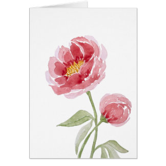 coral charm peony watercolor