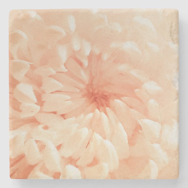 Coral Chrysanthemum Stone Coaster (Front)