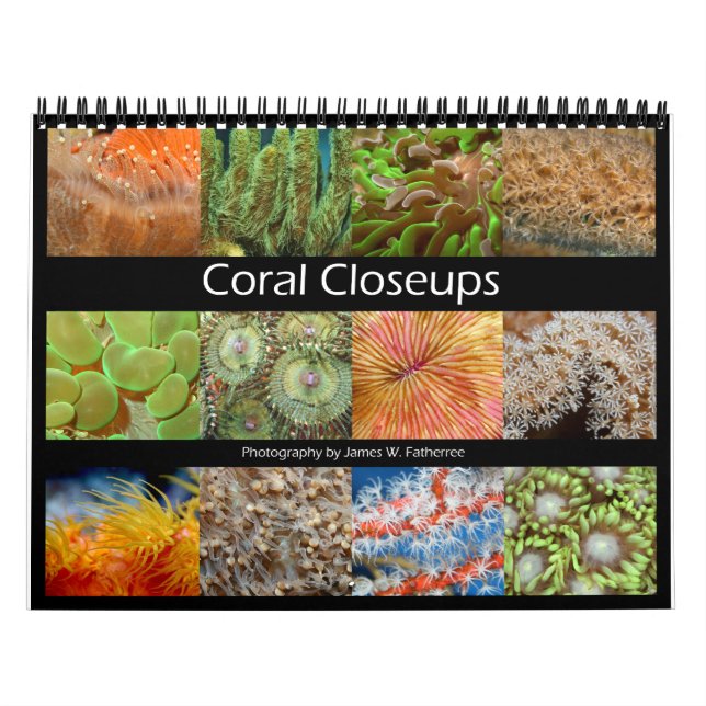 Coral Closeups Wall Calendar by J.W. Fatherree. (Cover)