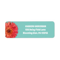 Coral Coloured Gerbera Daisy Photo Mint Green