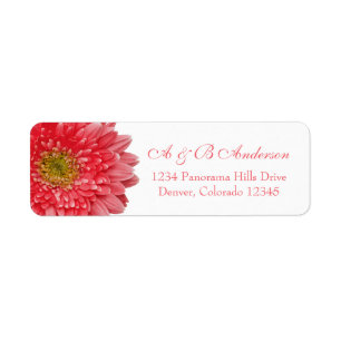 Coral Gerbera Daisy Mariage Adresse de retour