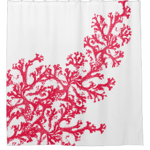 Coral Graphic