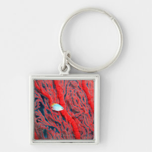 coral keychain