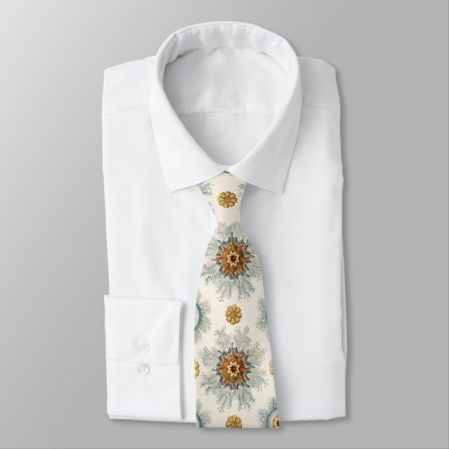 Coral Mandala Pattern Tie (Tied)
