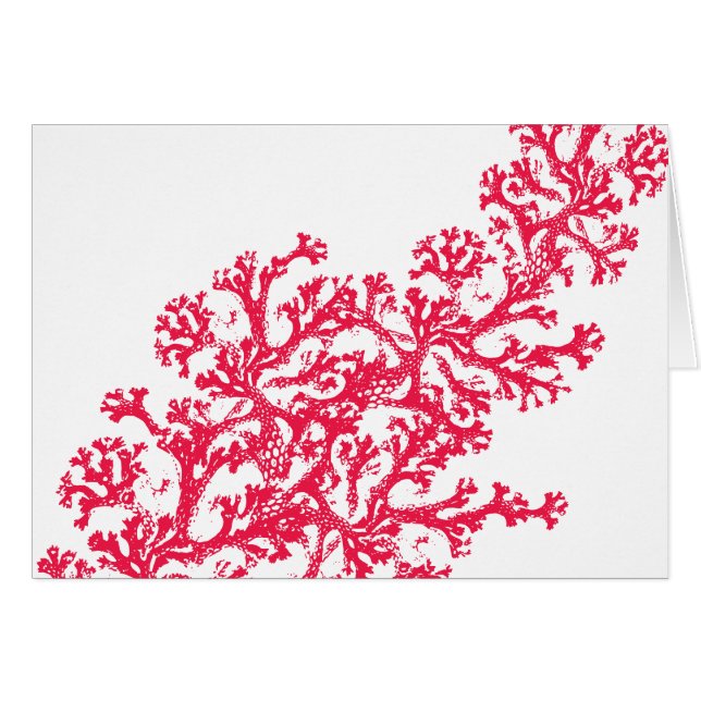 Coral Motif (Front Horizontal)