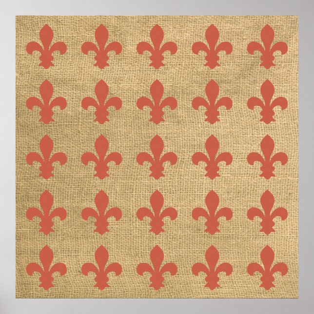 Coral Parisian Moods Fleur de Lys Pattern Poster (Front)