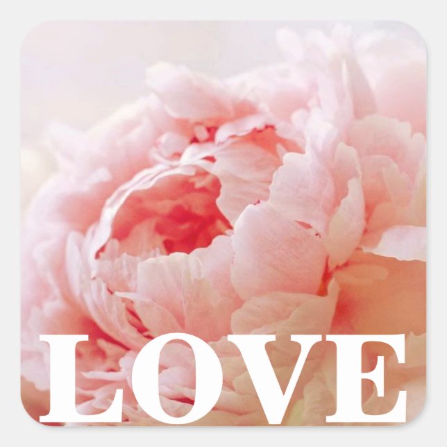 Coral Peony Peonies Floral LOVE Stickers Seals (Front)