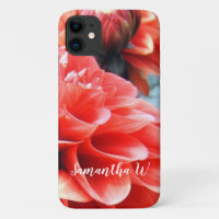 Coral Pink Dahlia Flower