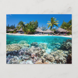 Coral reef and a tropical resort postcard