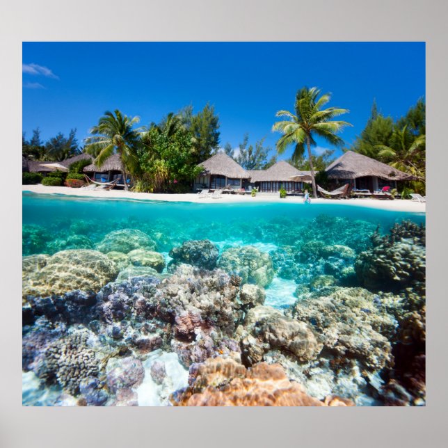 Coral reef and a tropical resort poster (Front)