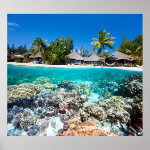 Coral reef and a tropical resort poster